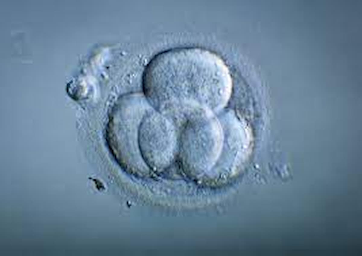 nati-due-gemelli-da-embrioni-congelati-30-anni-fa.-la-mamma-ha-“solo”-tre-anni-di-piu