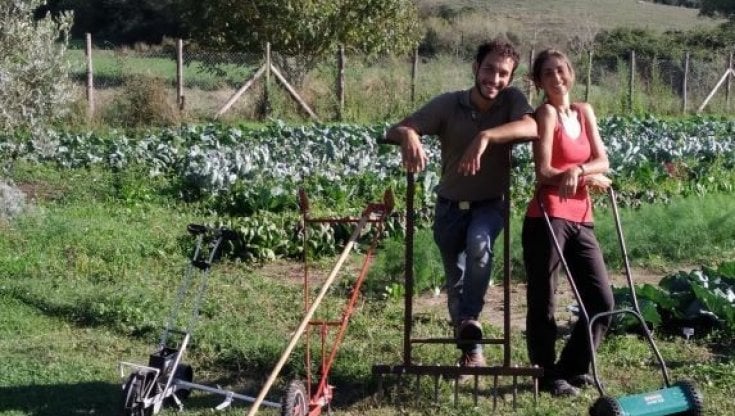 la-sfida-di-lorenzo-maggi-a-martignano:-“il-mio-orto-alternativo-per-battere-la-siccita”