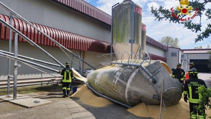 forli,-silos-di-mangime-travolge-un